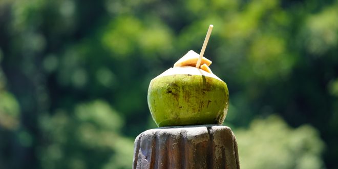 air kelapa untuk asam urat