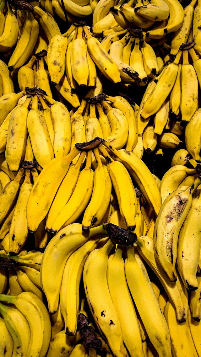 makanan penurun tekanan darah