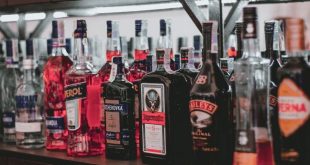 alkohol dan asam urat