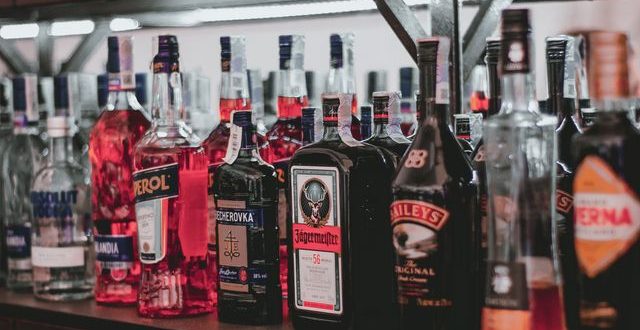alkohol dan asam urat