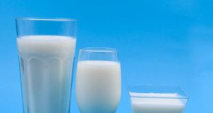 susu dan olahannya untuk asam urat