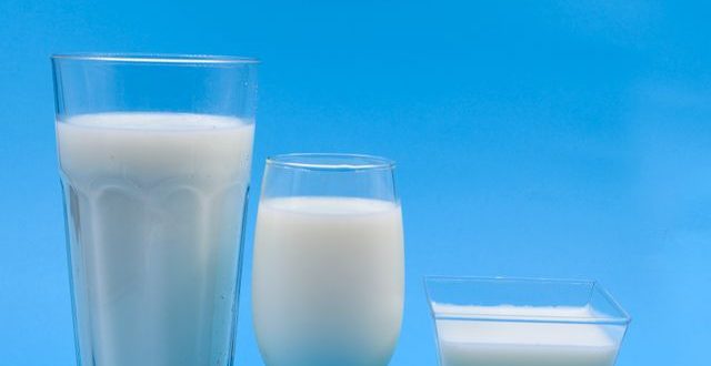 susu dan olahannya untuk asam urat