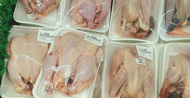 daging ayam dan asam urat