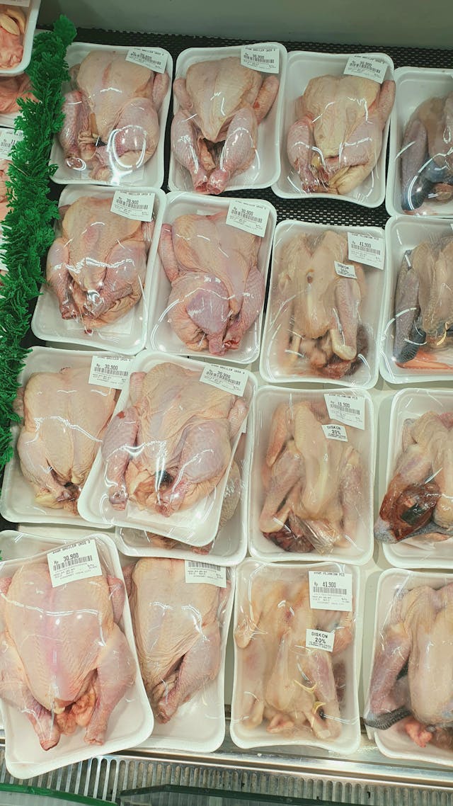 daging ayam dan asam urat