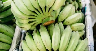 Makanan tinggi kalium dan penjelasan pengaruh kadar kalium dan ginjal yang sudah mengalami penurunan fungsi