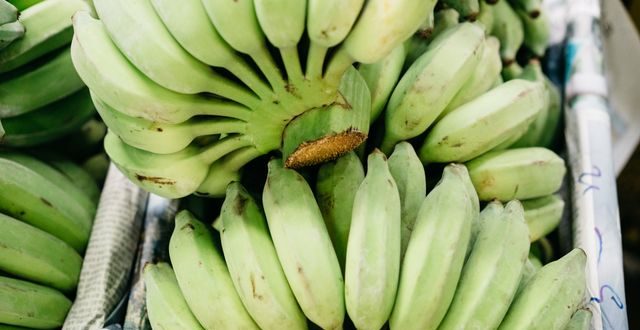 Makanan tinggi kalium dan penjelasan pengaruh kadar kalium dan ginjal yang sudah mengalami penurunan fungsi