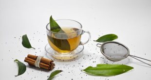air rebusan daun salam asam urat