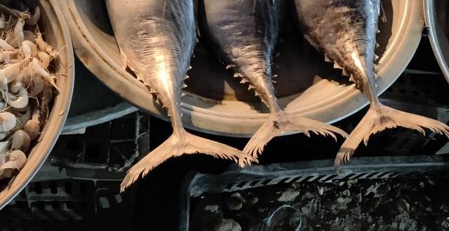ikan dan makanan laut asam urat