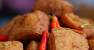 Beda Tofu dan Tempe