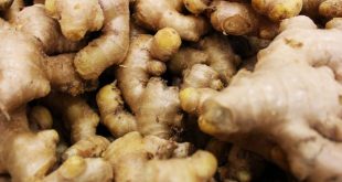 Bahan alami dan kemasan obat tradisional GERD beserta catatan keamanan penggunaannya
