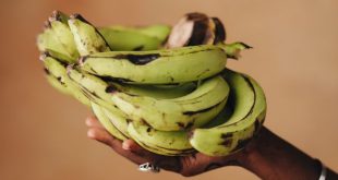 Pisang dan asam lambung termasuk salah satu buah yang paling aman, karena bersifat basa dan dapat membantu menetralkan kelebihan asam lambung.