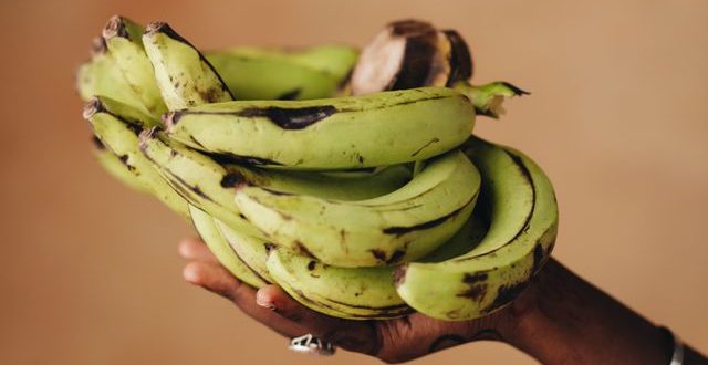 Pisang dan asam lambung termasuk salah satu buah yang paling aman, karena bersifat basa dan dapat membantu menetralkan kelebihan asam lambung.
