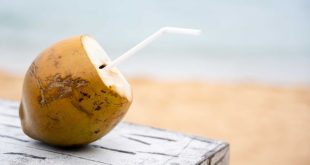 Buah kelapa muda dan penjelasan kandungan elektrolit serta pengaruh air kelapa muda