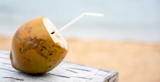 Buah kelapa muda dan penjelasan kandungan elektrolit serta pengaruh air kelapa muda