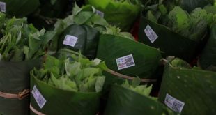 Berbagai jenis makanan sehat dan lembut yang cocok sebagai makanan untuk asam lambung