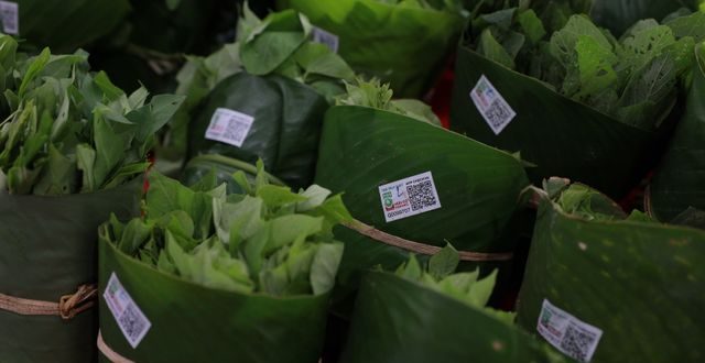 Berbagai jenis makanan sehat dan lembut yang cocok sebagai makanan untuk asam lambung