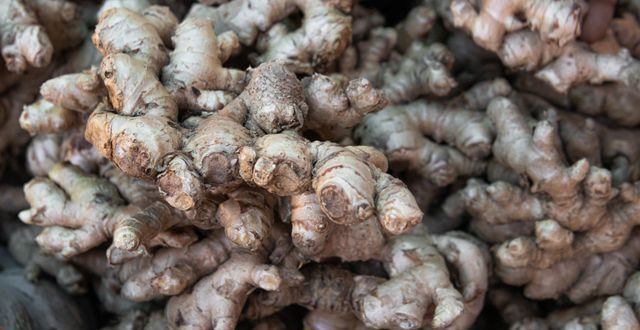 Rimpang jahe dan cara pengolahannya serta manfaat jahe dan asam lambung