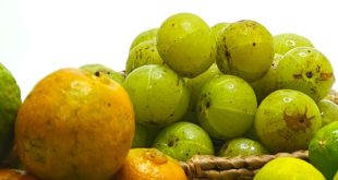 Berbagai jenis buah rasanya asam dan penjelasan pengaruh buah asam dan asam lambung
