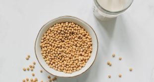 Segelas susu kedelai dan penjelasan kandungan nutrisinya serta perbandingan pengaruh susu kedelai dan asam lambung