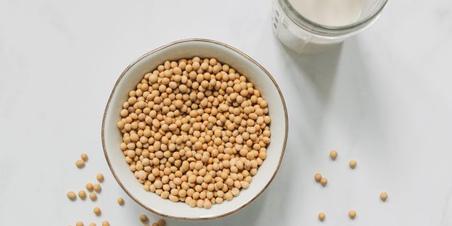 Segelas susu kedelai dan penjelasan kandungan nutrisinya serta perbandingan pengaruh susu kedelai dan asam lambung