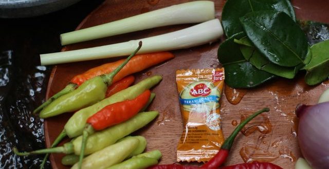 Bawang cabai dan asam lambung bisa menjadi pemicu iritasi bagi orang yang sensitif, meskipun tidak merusak struktur lambung secara langsung