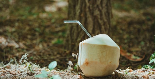 Buah kelapa muda dan kandungan nutrisinya serta pengaruh air kelapa muda dan ginjal