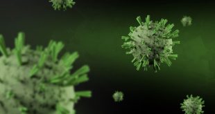 jenis infeksi virus penyebab kanker dan bakteri yang meningkatkan risiko penyakit
