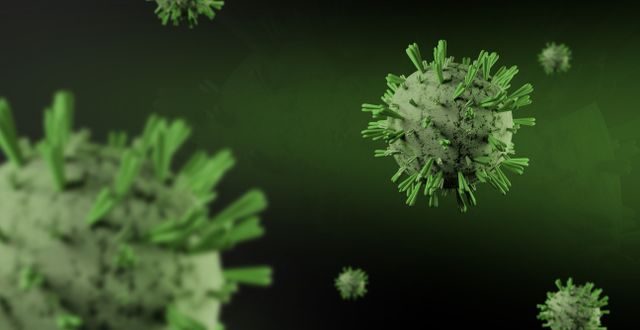 jenis infeksi virus penyebab kanker dan bakteri yang meningkatkan risiko penyakit