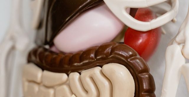 penjelasan penyakit kanker usus besar serta keluhan pencernaan yang muncul.