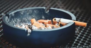 pengaruh merokok kolesterol yang menurunkan kolesterol pelindung pembuluh darah