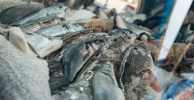 kandungan kolesterol pada makanan laut dan mana yang aman dikonsumsi