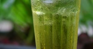 kandungan antioksidan teh hijau yang menghambat penyerapan lemak jahat