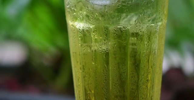 kandungan antioksidan teh hijau yang menghambat penyerapan lemak jahat